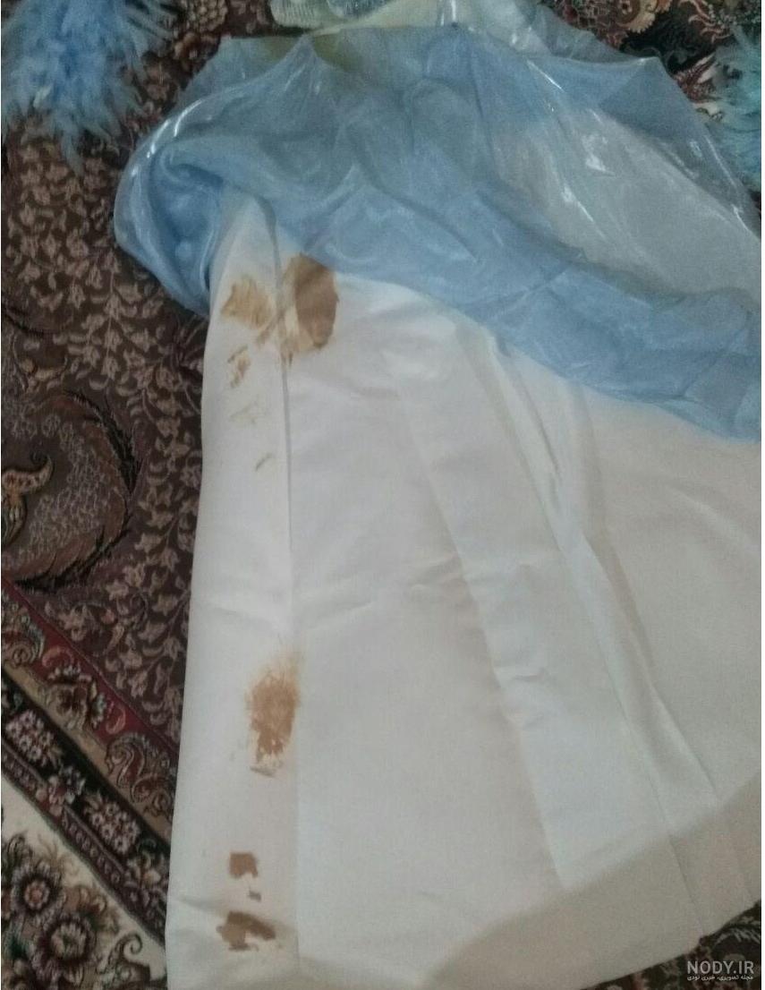 روح عاشق نی نی سایت