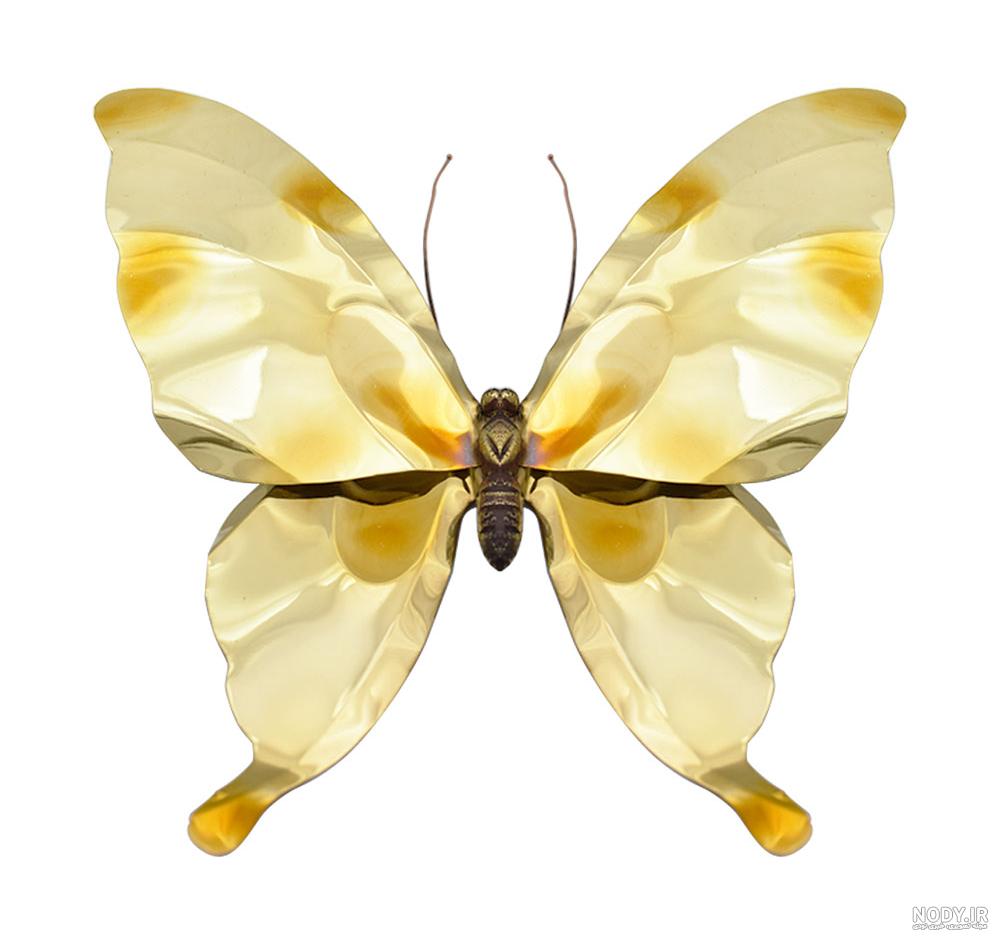 نحوه چسباندن پروانه کاغذی به دیوار
