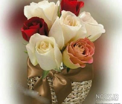 عکس خفن عکس برای استوری ایمو