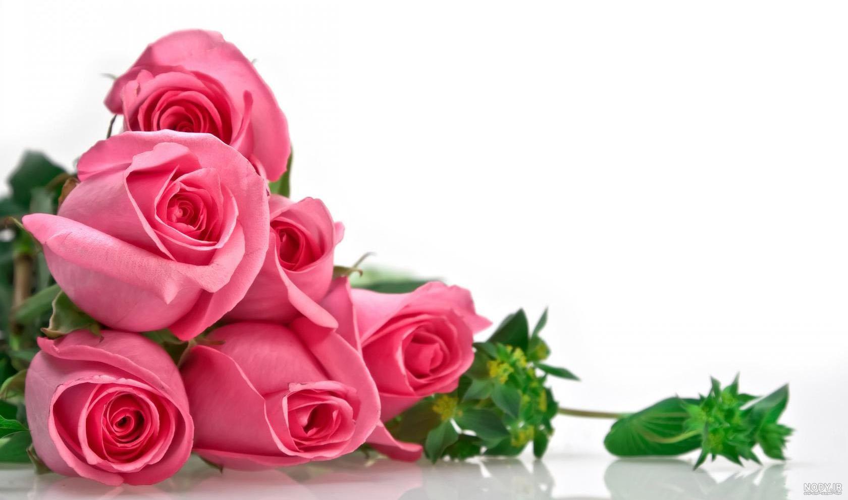 عکس از گل طبیعی زیبا