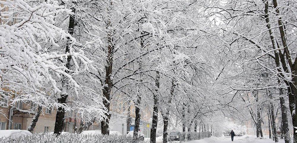 عکس برف برای تصویر زمینه