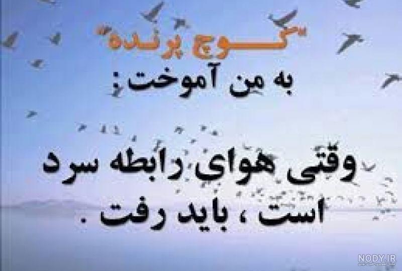 شعر عاشقانه در وصف معشوق از شاملو