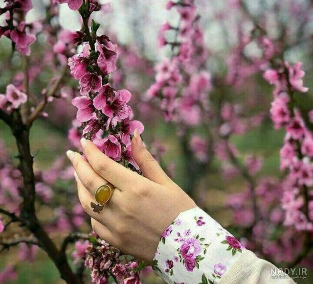 عکس زیبای پروفایل دخترانه