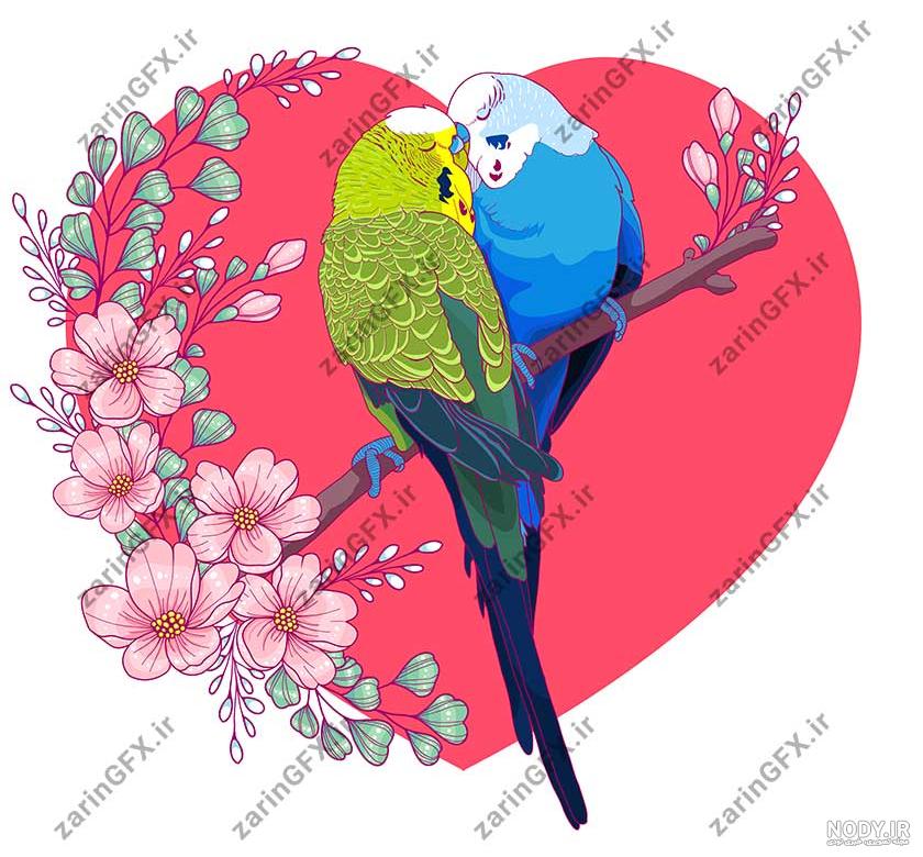 مرغ عشق رنگی