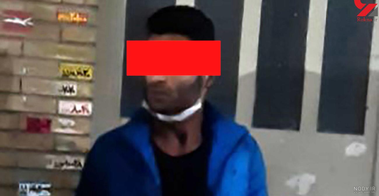 مشخصات درخت انار مشخصات درخت انار