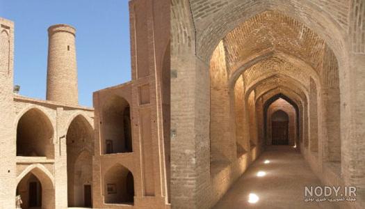 خرگوش صحرایی ایرانی خرگوش صحرایی ایرانی
