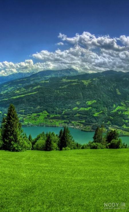 عکس گل طبیعی زیبا خانگی