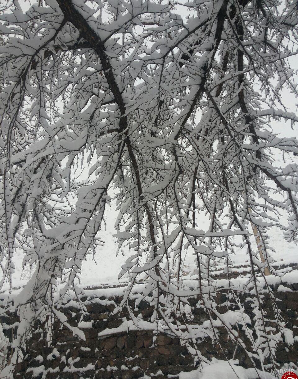 عکس آدم برفی طبیعی