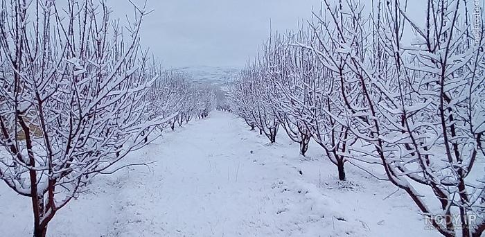 عکس برف برای تصویر زمینه