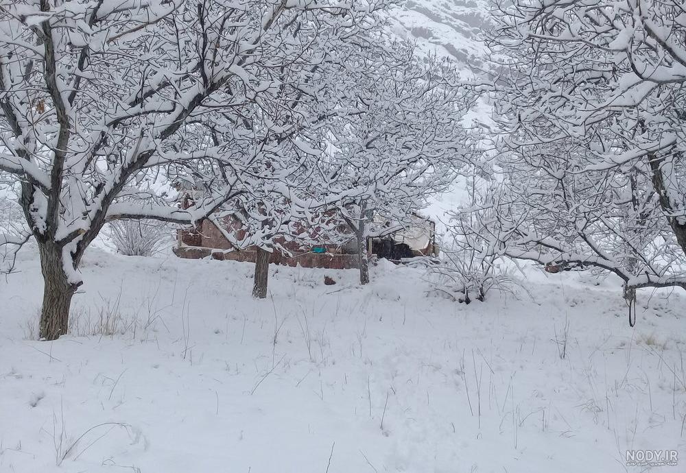 عکس برفی دخترانه