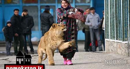 کنتور برق خانگی چند آمپر است کنتور برق خانگی چند آمپر است