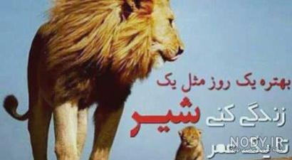 عکس پروفایل شاد زنانه