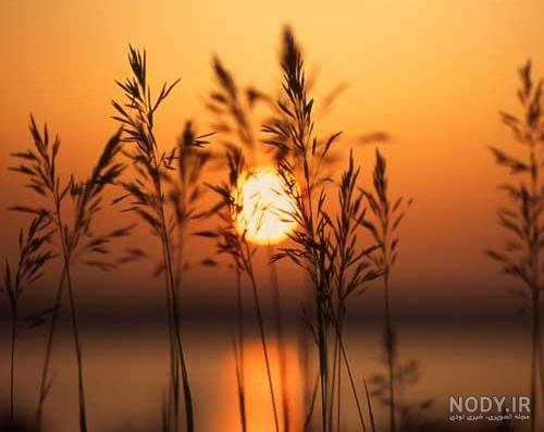 عکس غروب پاییز عکس غروب پاییز