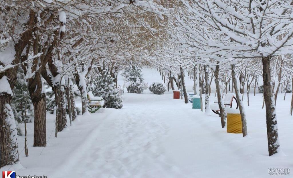 تصویر زمینه زمستان با کیفیت بالا
