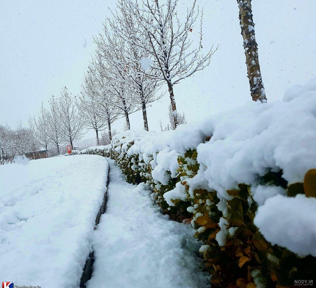 تصویر زمینه زمستان برای کامپیوتر