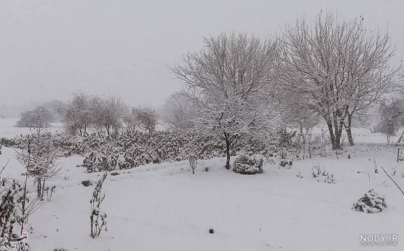 عکس برف برای تصویر زمینه