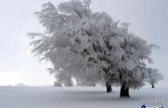 عکس برفی عاشقانه