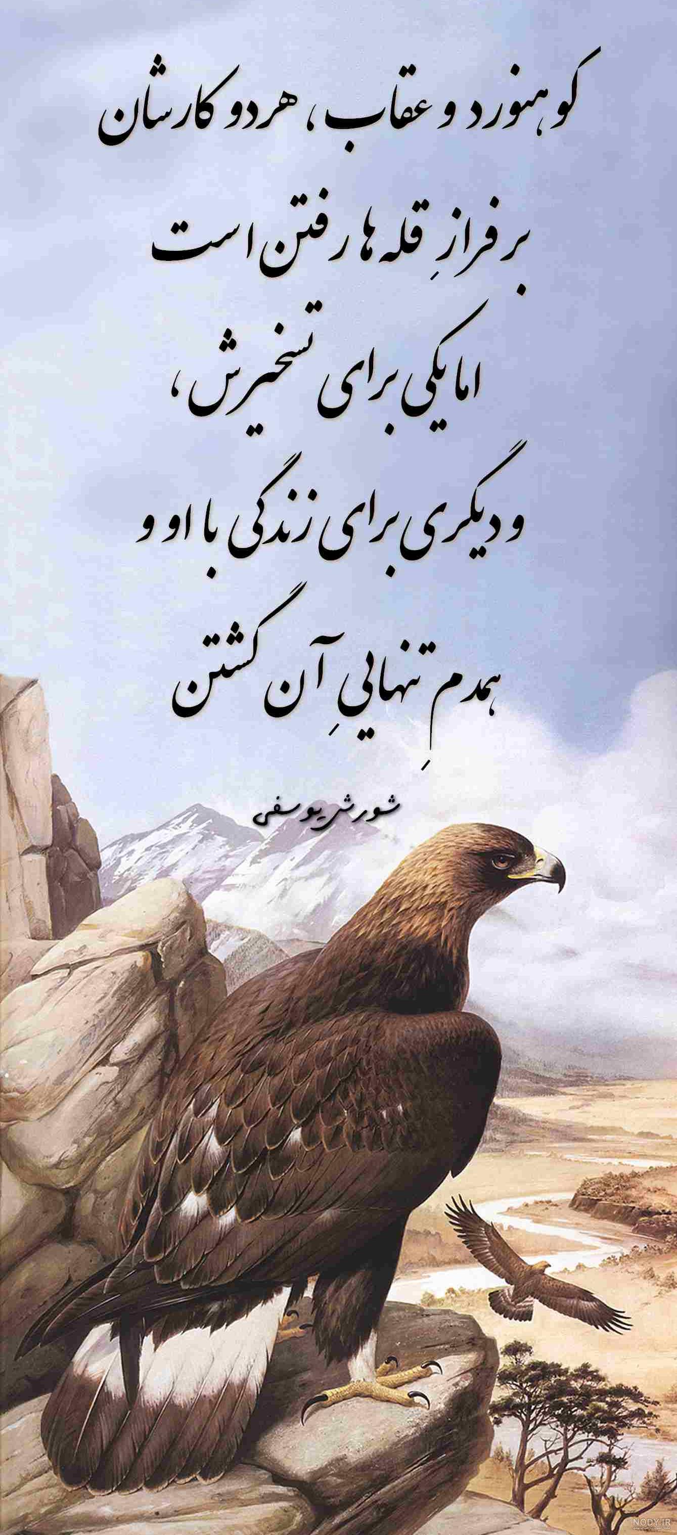 عکس عقاب با جفتش