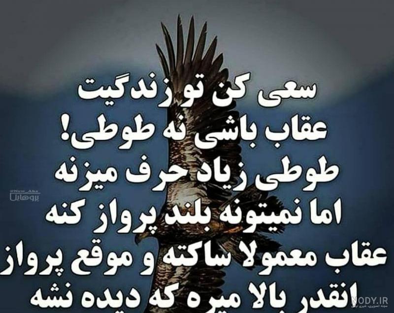 عکس عقاب خنده دار