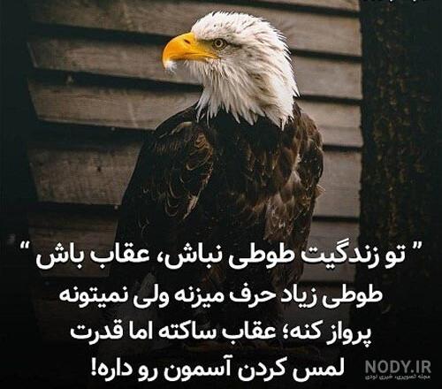 عکس نوشته با عقاب