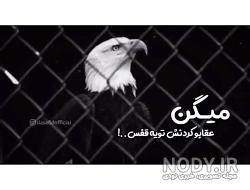 عکس نوشته عقاب مغرور