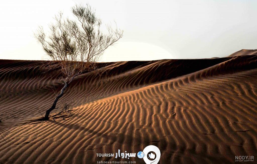 اقامتگاه کویر رضا آباد