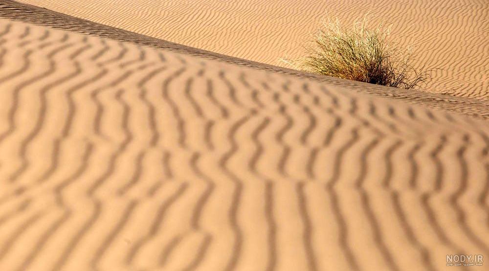 بوم گردی کویر ابوزید آباد بوم گردی کویر ابوزید آباد