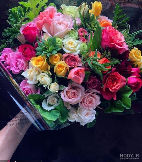 عکس گل طبیعی عکس گل طبیعی