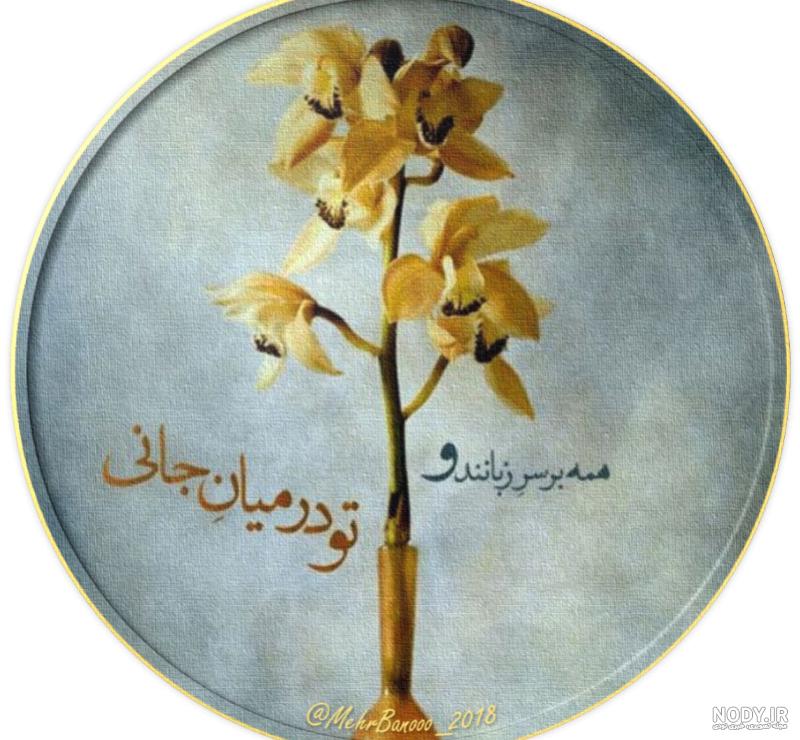 تو در میان جانی و جان از تو بی خبر تو در میان جانی و جان از تو بی خبر