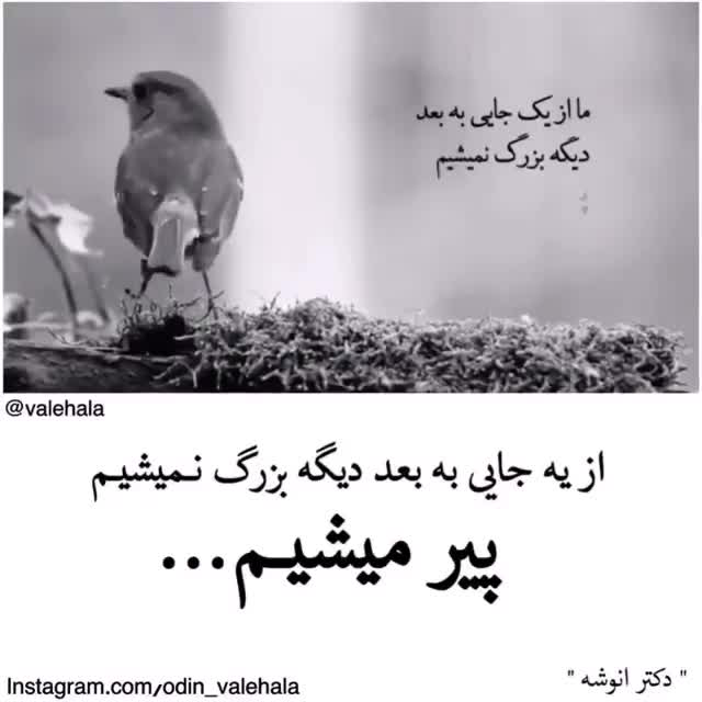 دکلمه من در این جوانی ز جهان سیر شدم دکلمه من در این جوانی ز جهان سیر شدم