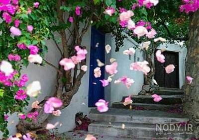 شعر نو پنجره چوبی شعر نو پنجره چوبی