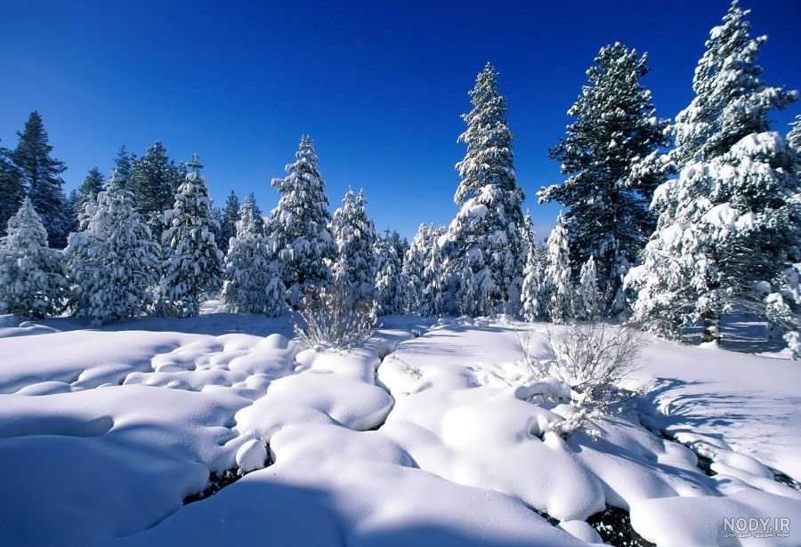 عکس برف پاییزی عکس برف پاییزی