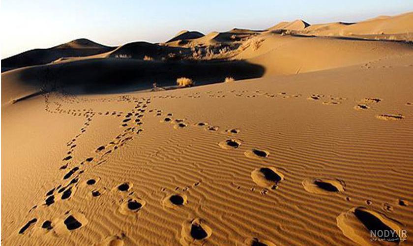 عکس کویر مصر اصفهان عکس کویر مصر اصفهان