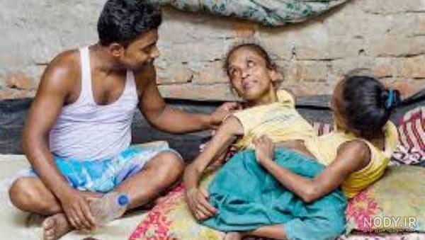 نرفتن مرغ عشق ماده در لانه نرفتن مرغ عشق ماده در لانه