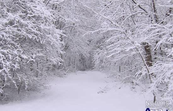 منظره برفی زیبا