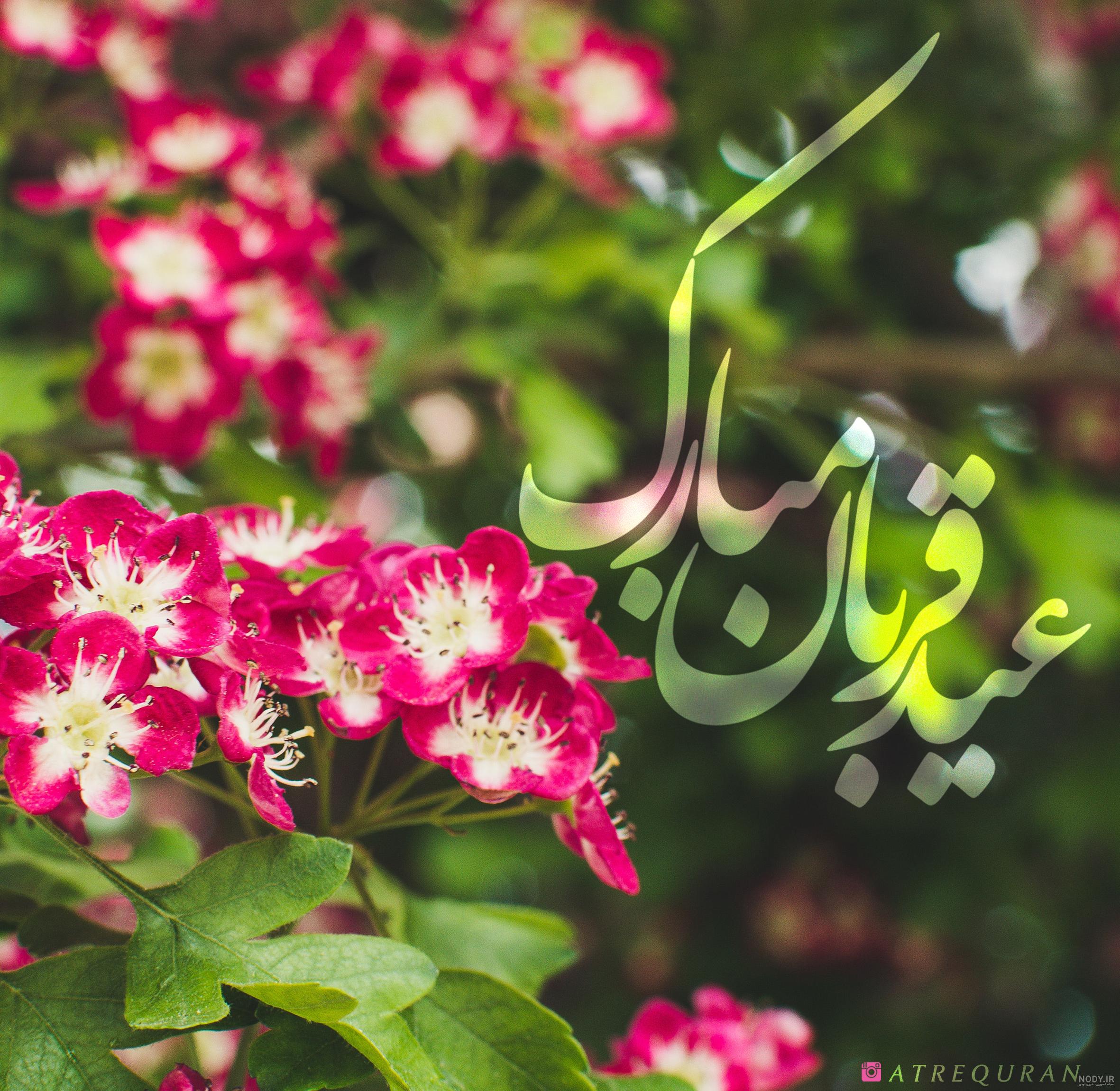 تبریک عید قربان به مادر زن