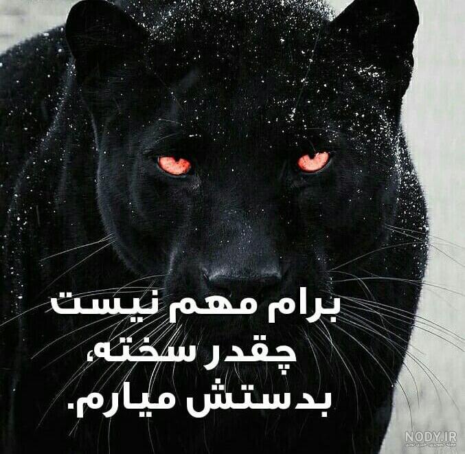 نوشته های انرژی مثبت