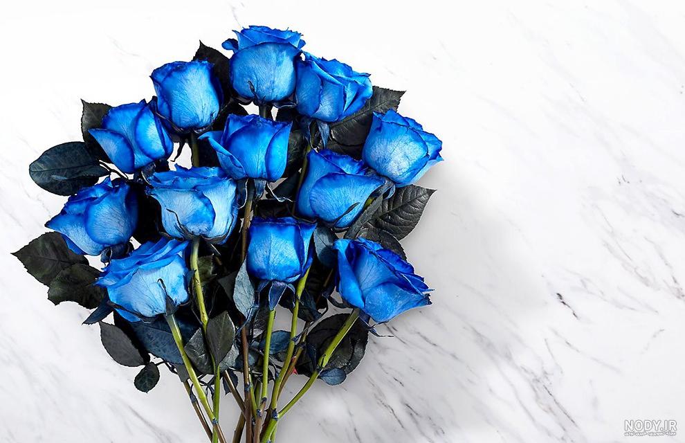 گل رز آبی گل رز آبی