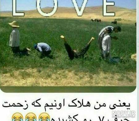 عکس برای گروه عکس برای گروه