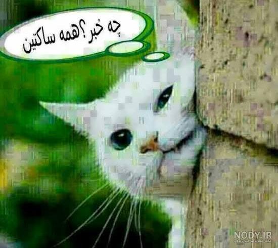 عکس جالب برای گروه خانوادگی عکس جالب برای گروه خانوادگی