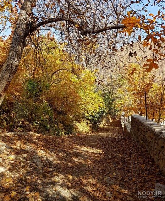 اجاره خانه در روستای برگ جهان