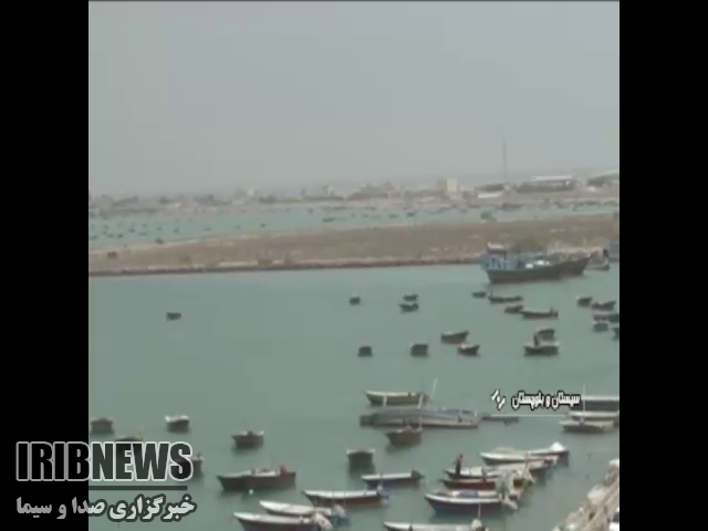 بهترین ماهی چابهار بهترین ماهی چابهار