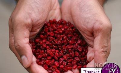خواص آب زرشک برای غلظت خون