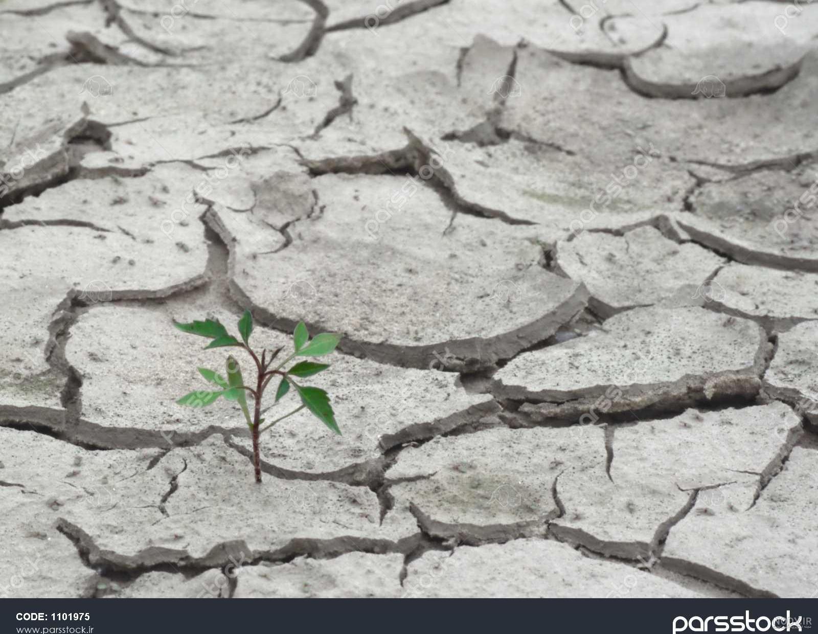 عکس انواع خاک عکس انواع خاک