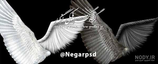 عکس بال فرشته با کیفیت عکس بال فرشته با کیفیت