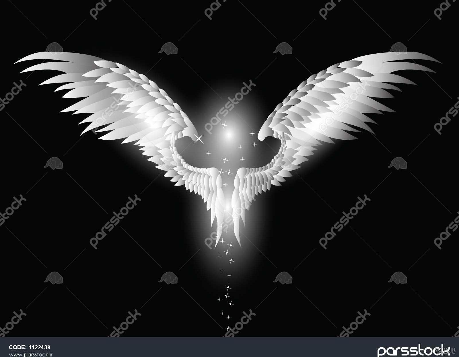 عکس بال فرشته سیاه و سفید عکس بال فرشته سیاه و سفید