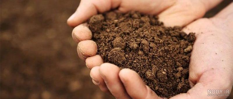 عکس خاک نباتی