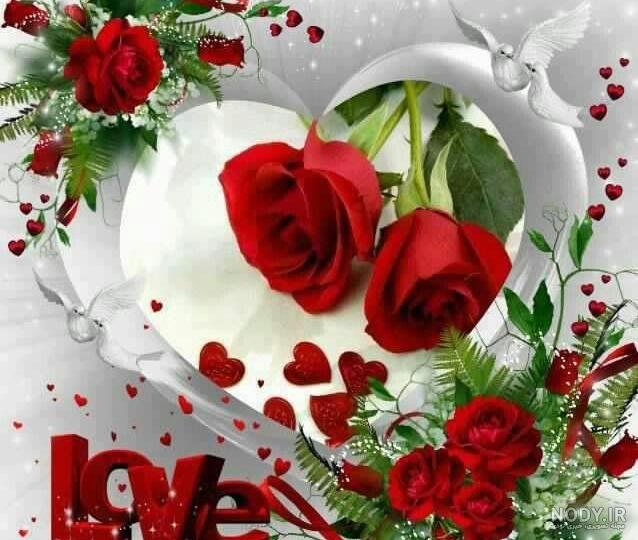عکس گل در صفحه سیاه