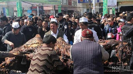 پرورش شتر مرغ در یک هکتار