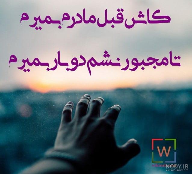 چه زیبا گفت حسین پناهی ماهی ها